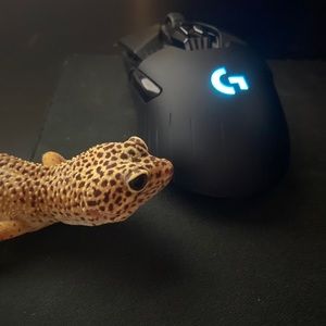 Meet your Posher, Diego